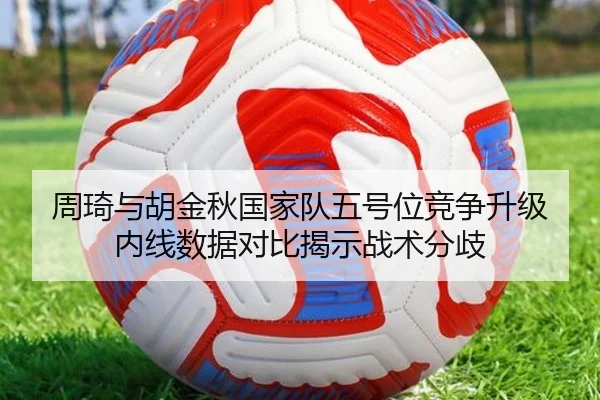 周琦与胡金秋国家队五号位竞争升级 内线数据对比揭示战术分歧